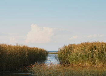 В Рязани весеннее половодье установило исторический минимум в 2025 году В Рязани весеннее половодье установило исторический минимум в 2025 году
