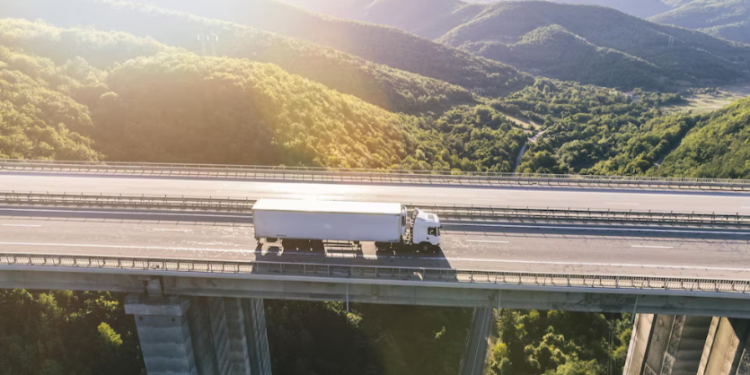 В Пителинском округе на трассе Р-124 Шацк — Касимов запретят проезд большегрузов