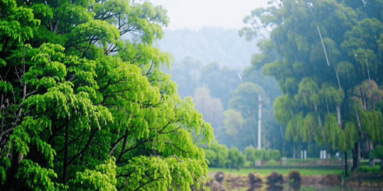 Вильфанд: тепло в Центральную Россию вернется к середине апреля