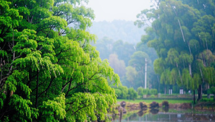 Вильфанд: тепло в Центральную Россию вернется к середине апреля