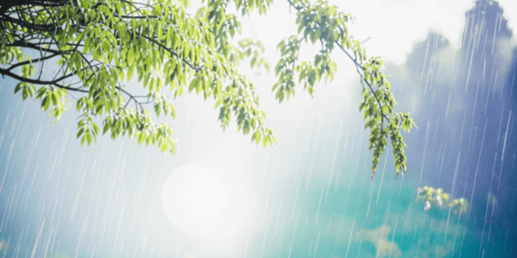 Синоптик Ильин: потепление вернется в Центральную Россию после 18 апреля Синоптик Ильин: потепление вернется в Центральную Россию после 18 апреля