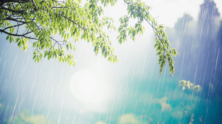 Синоптик Ильин: потепление вернется в Центральную Россию после 18 апреля