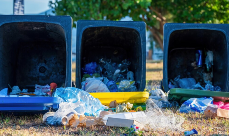 Плата за вывоз мусора в Рязанской области может измениться