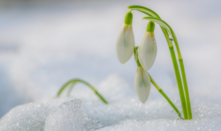 В ночь на четверг в Рязанской области похолодает до -10 градусов