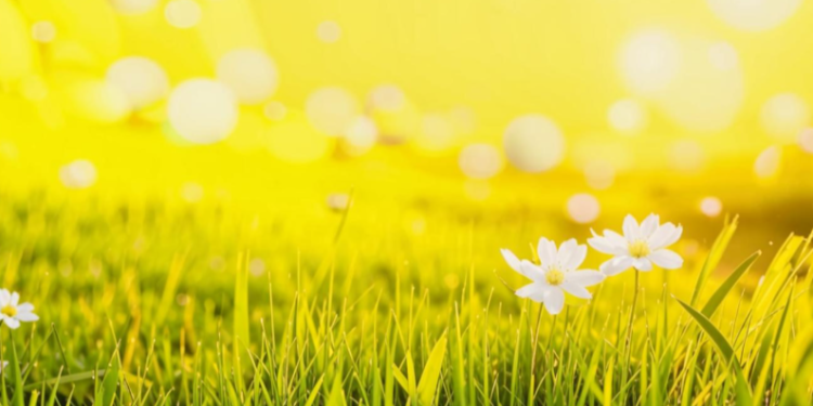 Позднякова: температура воздуха к выходным в Центральной России будет теплеет нормы на 9 градусов