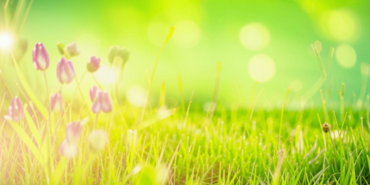 В четверг в Рязанской области потеплеет до +23 градусов