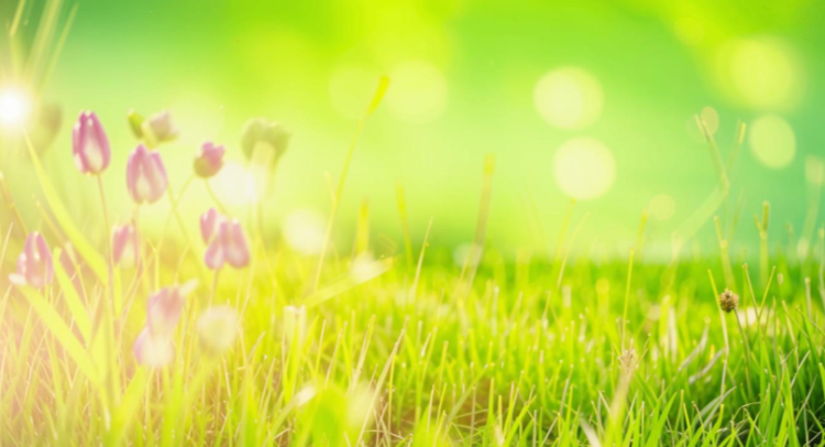 В четверг в Рязанской области потеплеет до +23 градусов