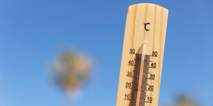 МЧС: с 17 по 21 апреля в Рязанской области ожидается жаркая погода МЧС: с 17 по 21 апреля в Рязанской области ожидается жаркая погода