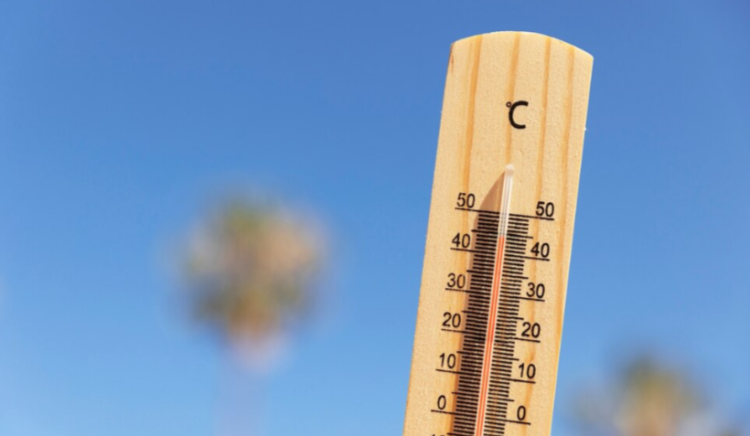 МЧС: с 17 по 21 апреля в Рязанской области ожидается жаркая погода