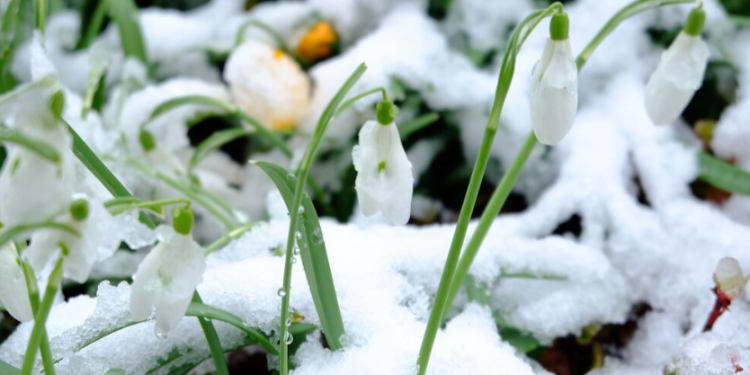 Позднякова предупредила россиян о резком похолодании в начале мая