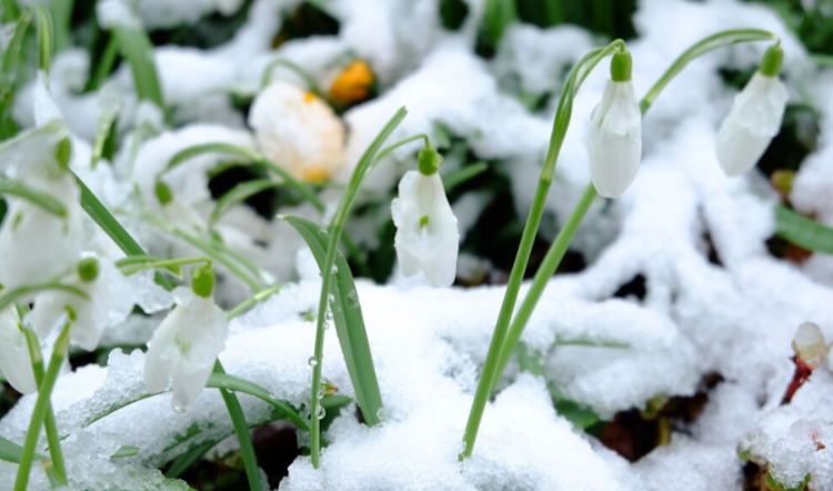 Позднякова предупредила россиян о резком похолодании в начале мая