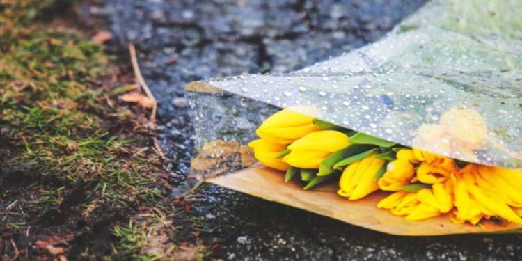 Тишковец: в первую неделю мая в Центральной России ожидается до +15 градусов