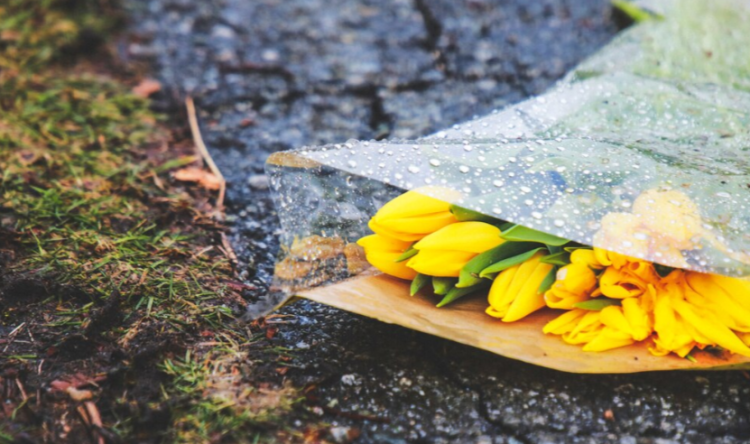 Тишковец: в первую неделю мая в Центральной России ожидается до +15 градусов