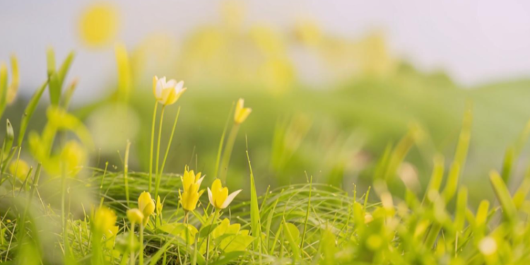 В субботу в Рязанской области ожидается небольшой дождь и до +26 градусов