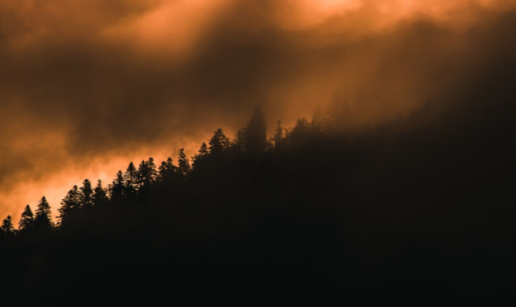 В Рязанском регионе установлен III класс пожарной опасности