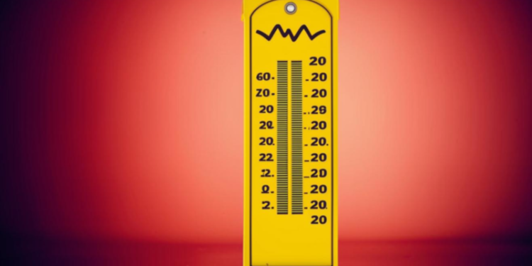 В Рязанском регионе объявлен оранжевый уровень опасности из-за жары