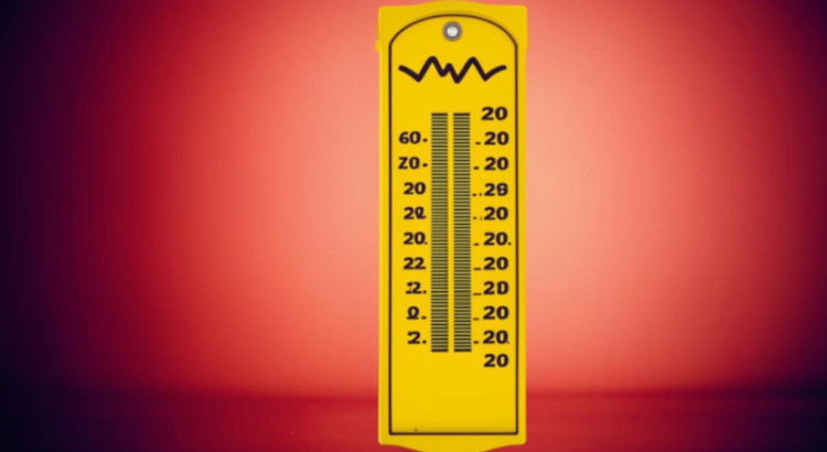 В Рязанском регионе объявлен оранжевый уровень опасности из-за жары