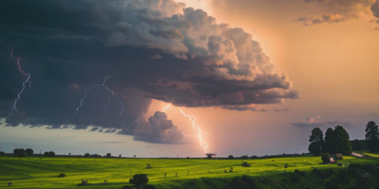 В четверг в Рязанской области ожидается гроза и до +23 градусов