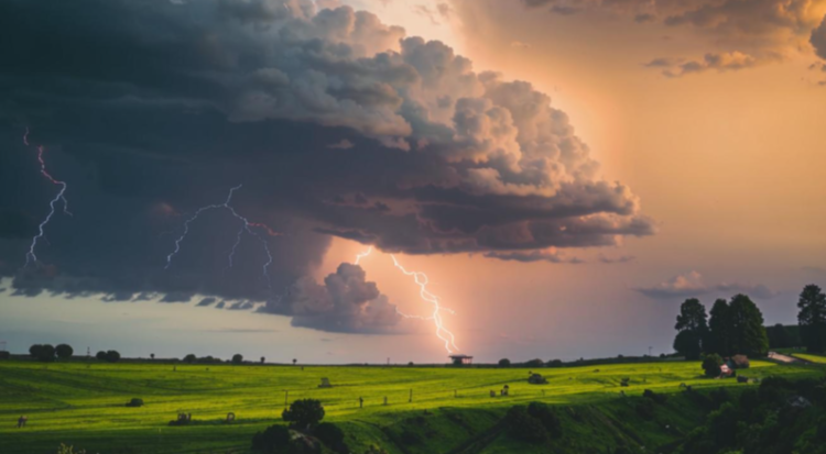 В четверг в Рязанской области ожидается гроза и до +23 градусов