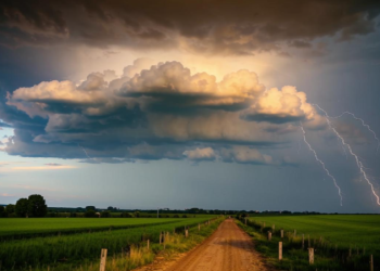 МЧС: в Рязанской области ожидается дождь и гроза 23 и 24 апреля