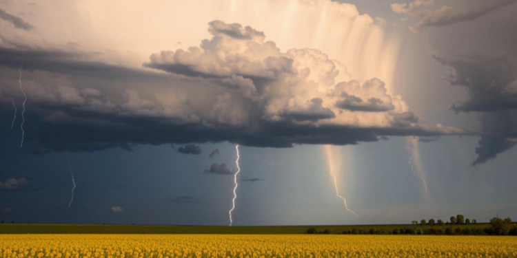 В пятницу в Рязанской области ожидается гроза и до +23 градуса