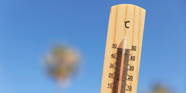 МЧС: 25 апреля в Рязанской области сохранится высокая пожарная опасность