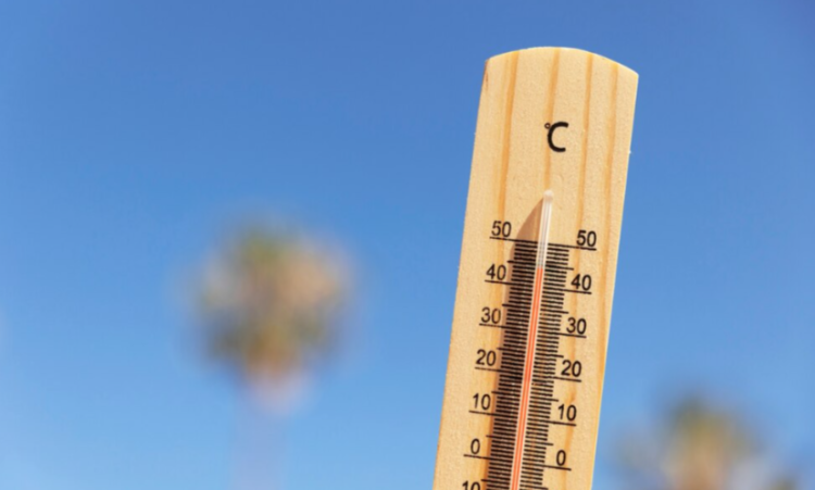 МЧС: 25 апреля в Рязанской области сохранится высокая пожарная опасность