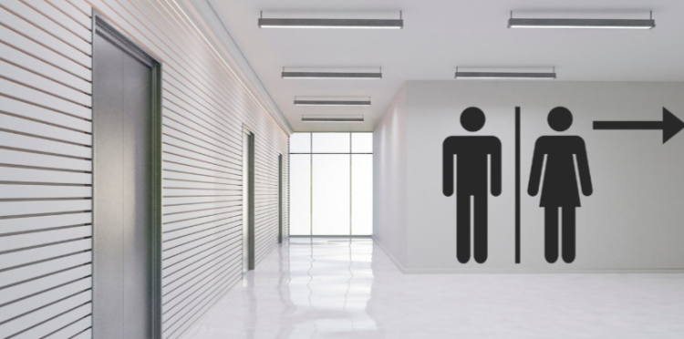 Рязанцы жалуются на состояние общественных туалетах в центральных городских парках