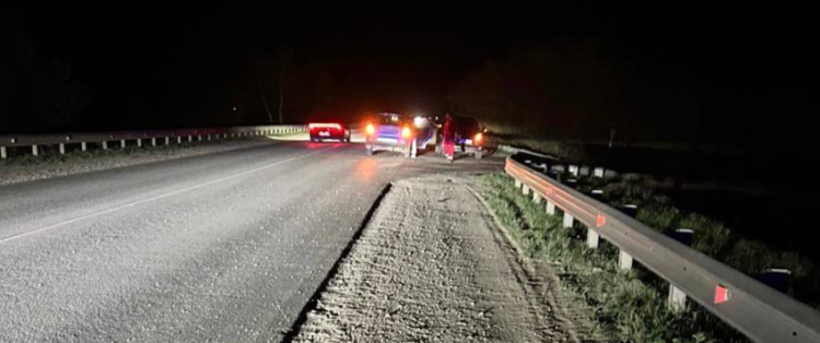 В ДТП под Рязанью пострадали два человека, в том числе 17-летний подросток