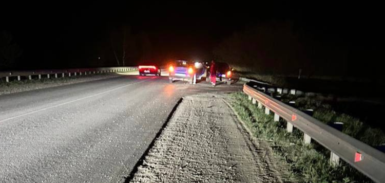 В ДТП под Рязанью пострадали два человека, в том числе 17-летний подросток