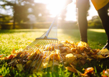 Рязанцев приглашают на Всероссийский субботник 26 апреля Рязанцев приглашают на Всероссийский субботник 26 апреля