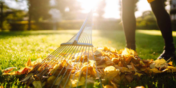 Рязанцев приглашают на Всероссийский субботник 26 апреля