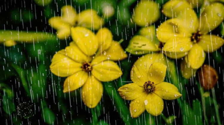 Синоптик Леус: температура вернется к климатической норме в Центральной России ко 2 мая