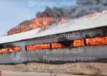 На пожаре в Касимовском округе сгорел телятник с 300 животными