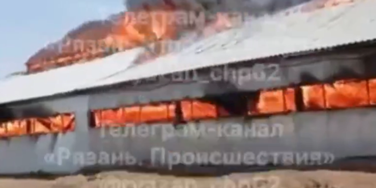 На пожаре в Касимовском округе сгорел телятник с 300 животными