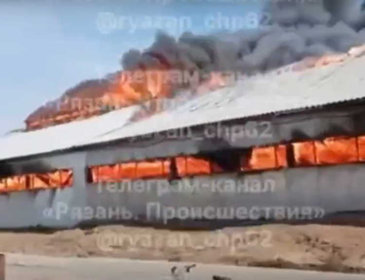 На пожаре в Касимовском округе сгорел телятник с 300 животными