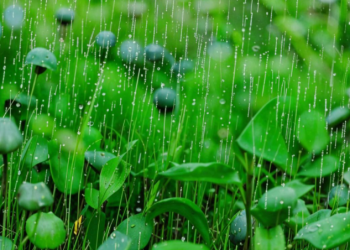 Тишковец: 1 и 2 мая в Центральной России выпадет половина месячной нормы осадков