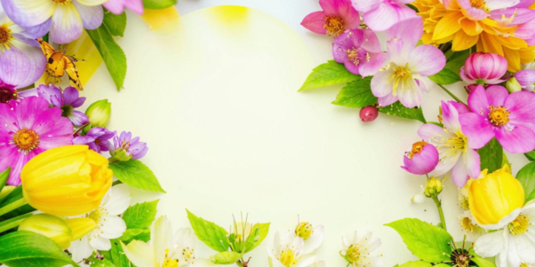 Во вторник в Рязанской области ожидается до +16 градусов