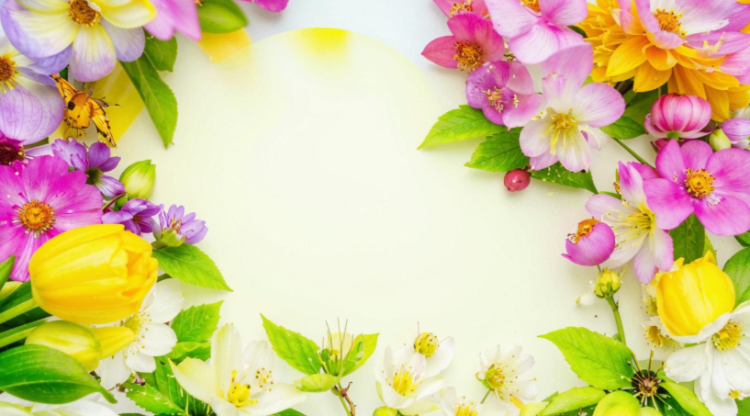 Во вторник в Рязанской области ожидается до +16 градусов