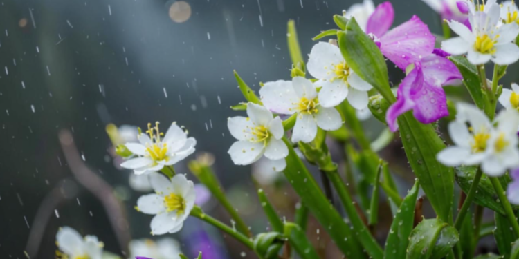 Синоптик Вильфанд предупредил россиян о холодной погоде 9 мая