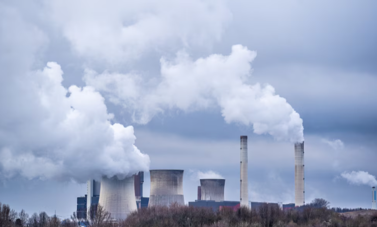 Рязанцы сообщили о вони в городе