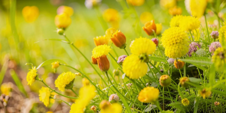 Синоптик Позднякова: в Центральной России снова потеплеет только в середине мая Синоптик Позднякова: в Центральной России снова потеплеет только в середине мая