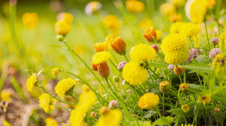 Синоптик Позднякова: в Центральной России снова потеплеет только в середине мая