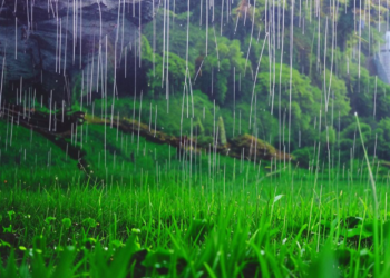 Тишковец предупредил россиян о скоротечных дождях на текущей неделе Тишковец предупредил россиян о скоротечных дождях на текущей неделе