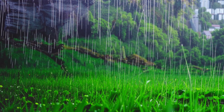 Тишковец предупредил россиян о скоротечных дождях на текущей неделе