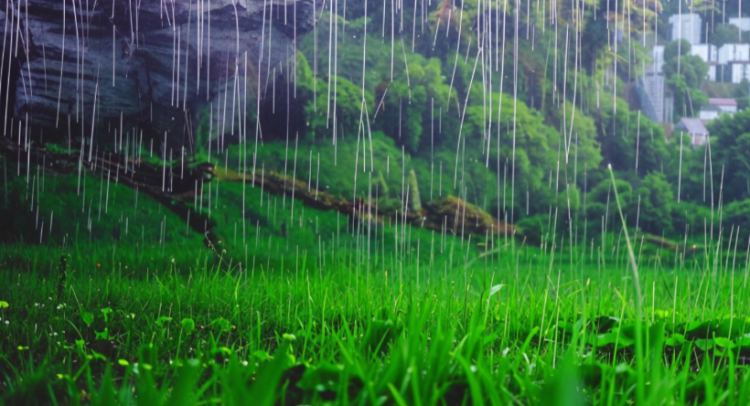 Тишковец предупредил россиян о скоротечных дождях на текущей неделе