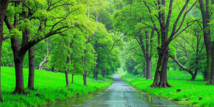 Во вторник в Рязанской области ожидается небольшой дождь и до +13 градусов