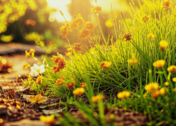 Синоптик Шувалов: потепление начнет возвращаться в Центральную Россию с 15 мая