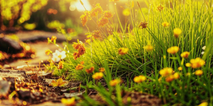 Синоптик Шувалов: потепление начнет возвращаться в Центральную Россию с 15 мая