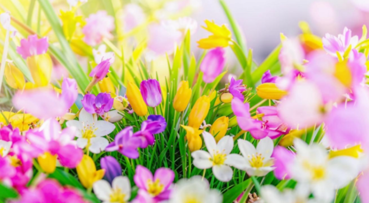 В четверг в Рязанской области потеплеет до +19 градусов